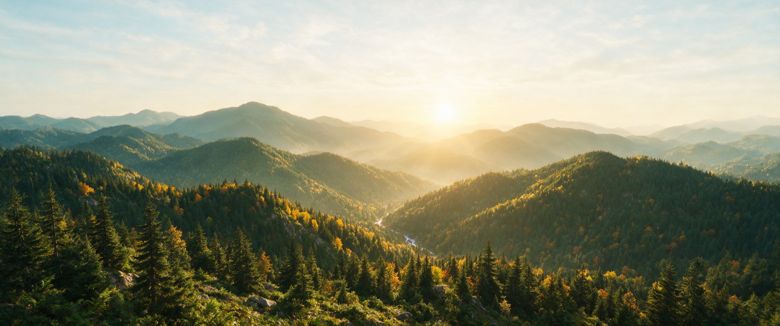 Layer after layer of forested ridgelines fading into warm golden morning haze