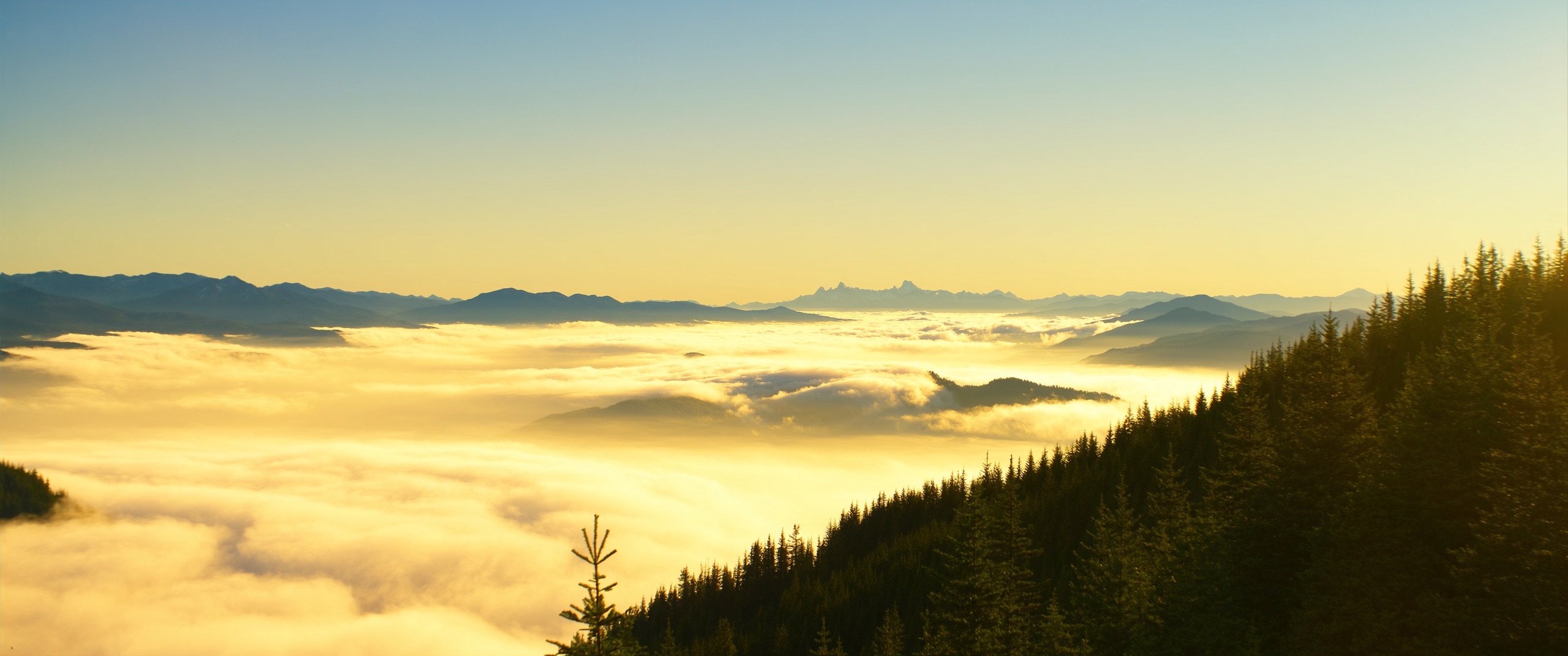 Golden sunrise above a sea of clouds seen from a mountain ridge